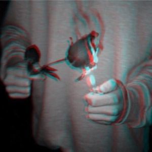 Meet your Posher, Rose